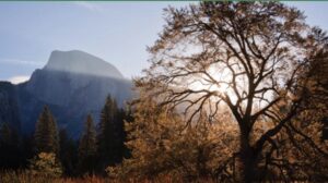 Bringing Internet Access to Environmental Education in Yosemite