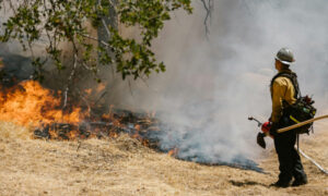 CENIC Sentinel: a Disaster Recovery Solution To Ensure CENIC Members Remain Connected During Emergencies