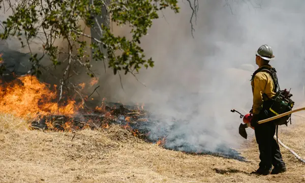 CENIC Sentinel: a Disaster Recovery Solution To Ensure CENIC Members Remain Connected During Emergencies