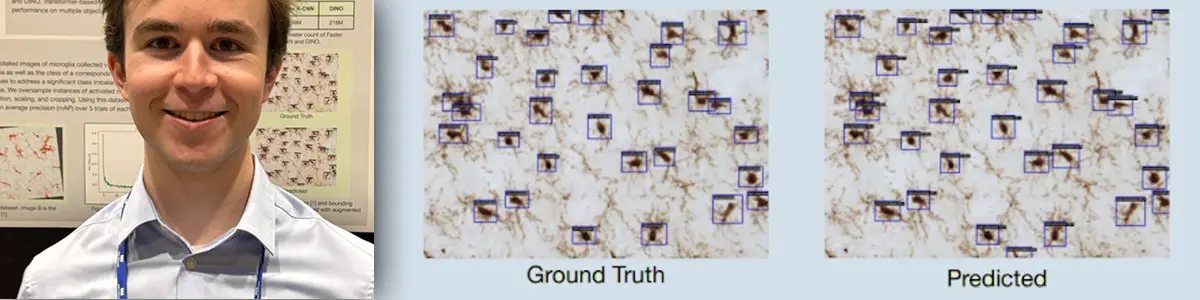 Cal Poly Humboldt undergraduate John Gerving (now at UC Berkeley) and a comparison of his computer vision model with "ground truth" in classifying immune system cells in the brain