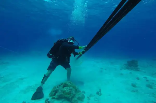 Pacific Wave, Cal Poly Humboldt, and Internet2 Collaborate on Connectivity to Singapore, Guam, and Jakarta